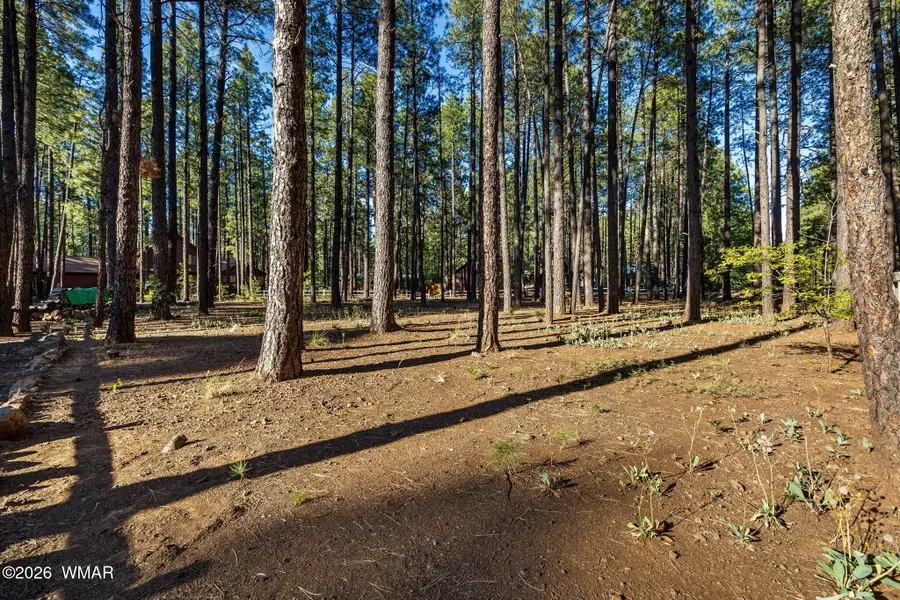 8510 Alchesay Drive, Pinetop, AZ 85935 - #3