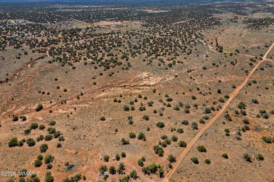 4322 Juniper Road, Snowflake, AZ 85937 - #3