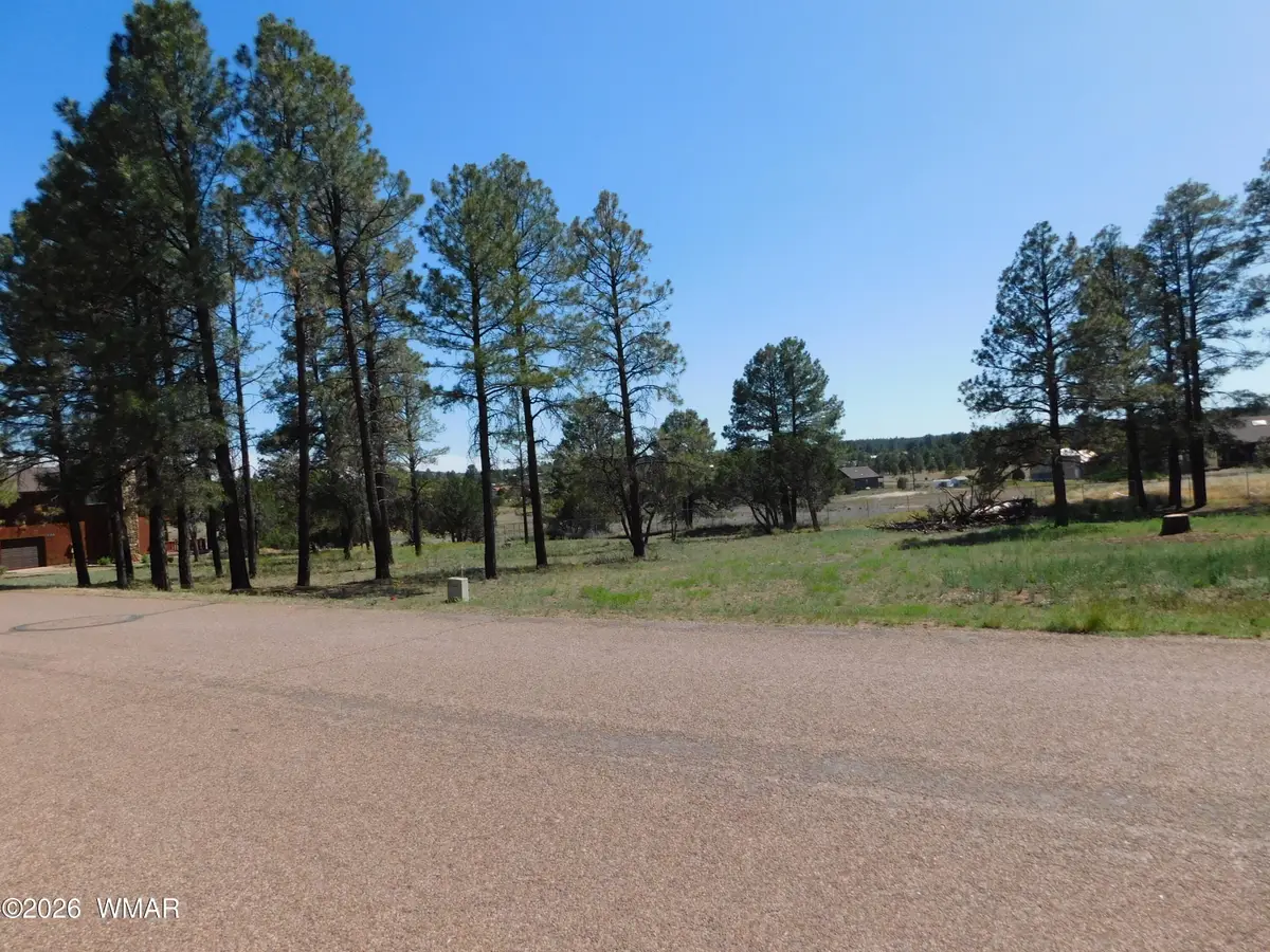 2215 Country Club Drive, Overgaard, AZ 85933 - #1