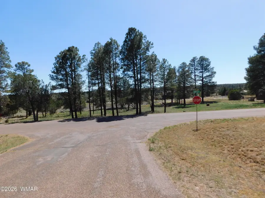 2215 Country Club Drive, Overgaard, AZ 85933 - #2