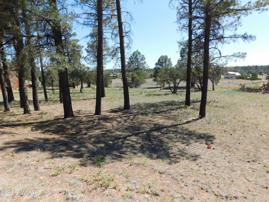 2215 Country Club Drive, Overgaard, AZ 85933 - #3