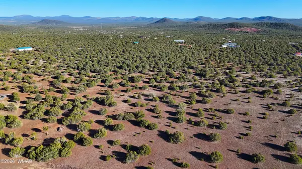 TBD Co Rd 3187, Vernon, AZ 85940