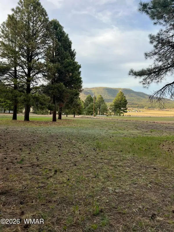 18 County Rd 2063, Alpine, AZ 85920