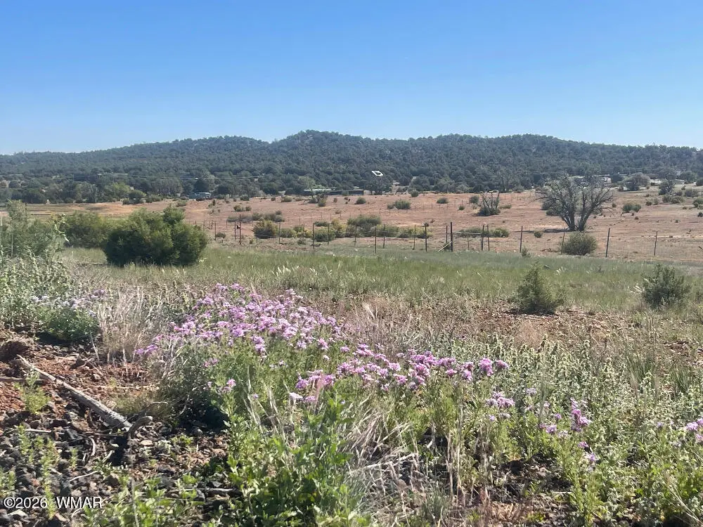1751 Forest Service Rd 163, Clay Springs, AZ 85923 - #1