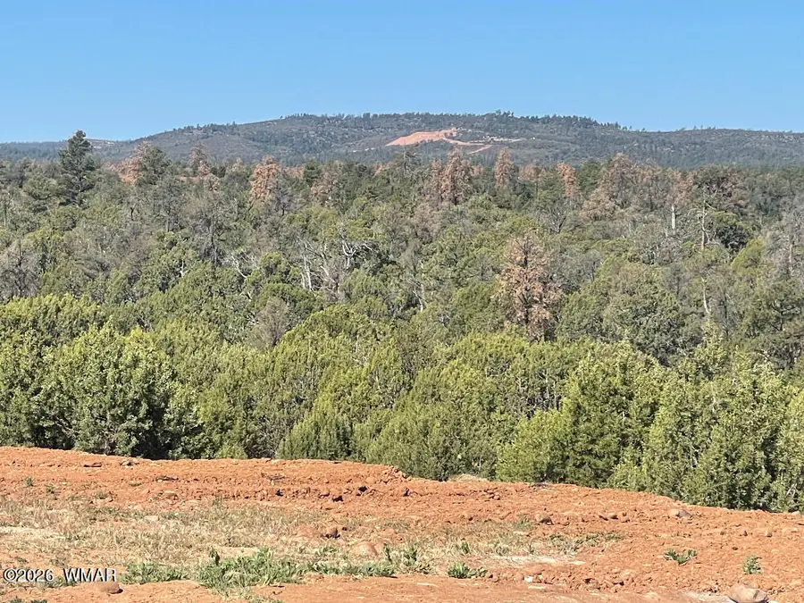 1751 Forest Service Rd 163, Clay Springs, AZ 85923 - #2