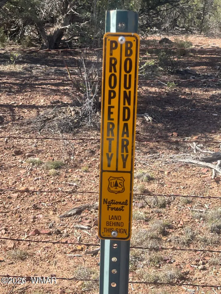 1751 Forest Service Rd 163, Clay Springs, AZ 85923 - #3