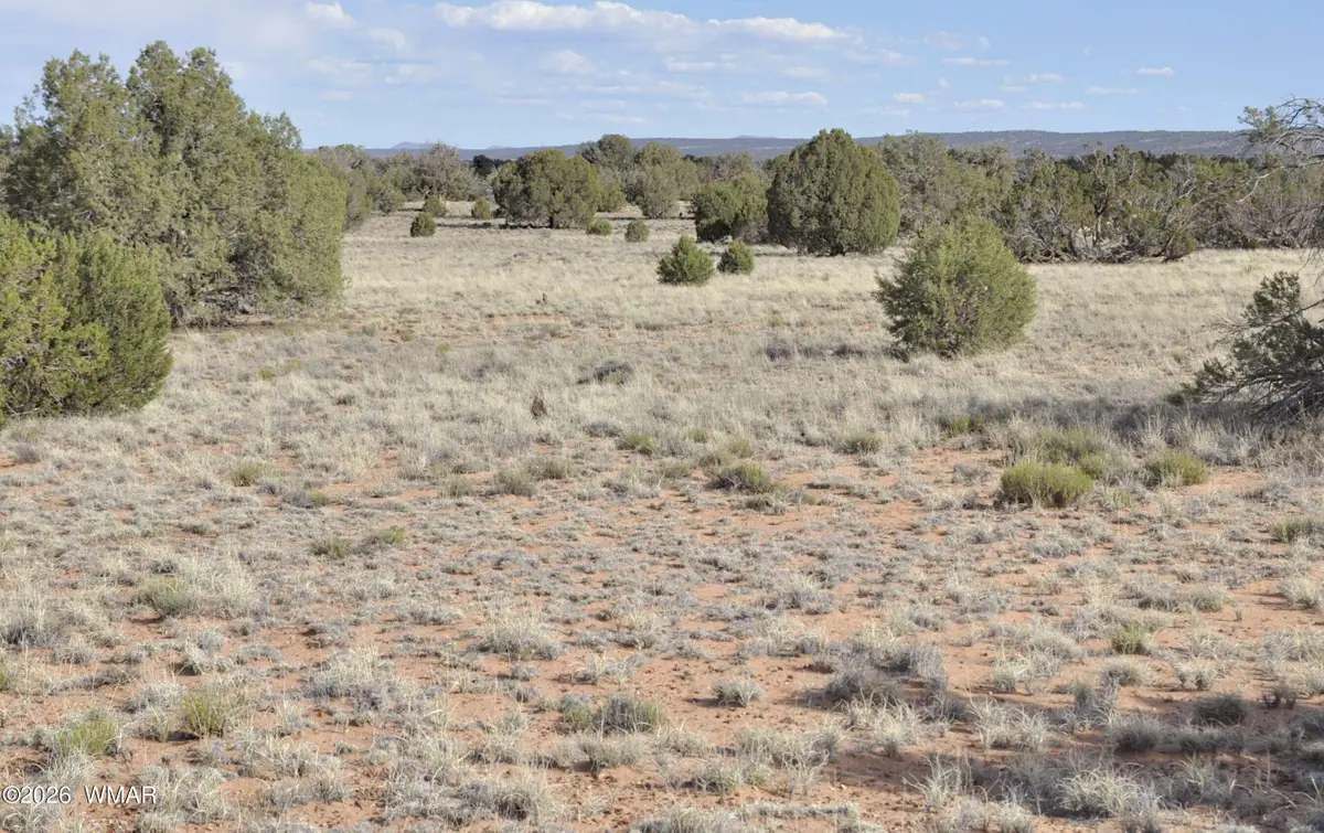 176 Cr N5549, Concho, AZ 85924 - #1