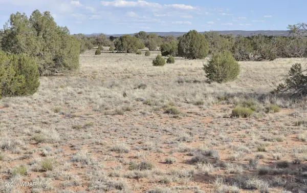 176 Cr N5549, Concho, AZ 85924