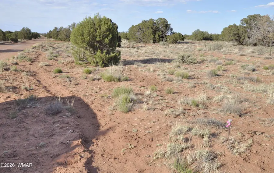 176 Cr N5549, Concho, AZ 85924 - #2