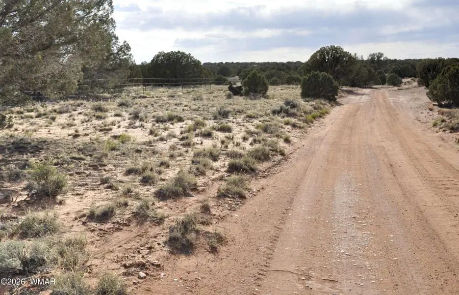 176 Cr N5549, Concho, AZ 85924 - #3