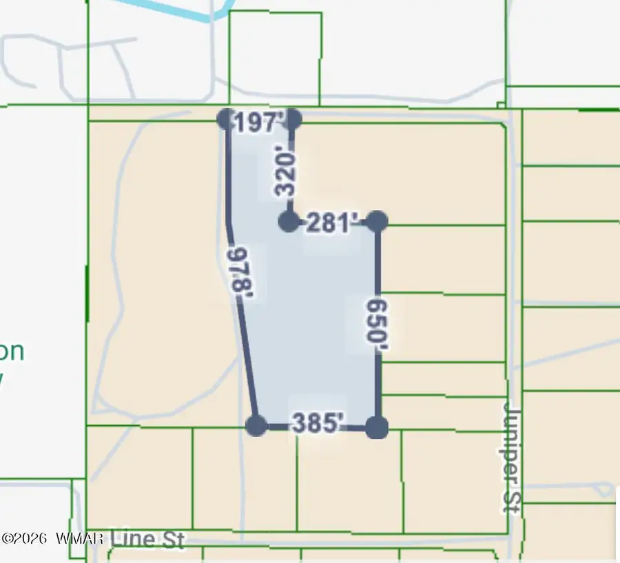 TBD S Juniper Street, Eagar, AZ 85925 - #3