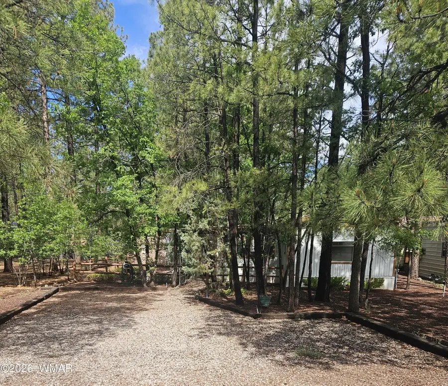 2888 S Night Hawk Lane, Pinetop, AZ 85935 - #2