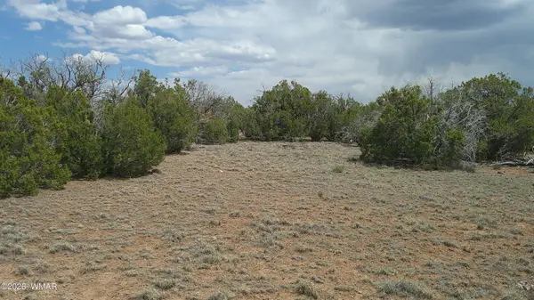 TBD Show Low Pines Lot 189, Concho, AZ 85924