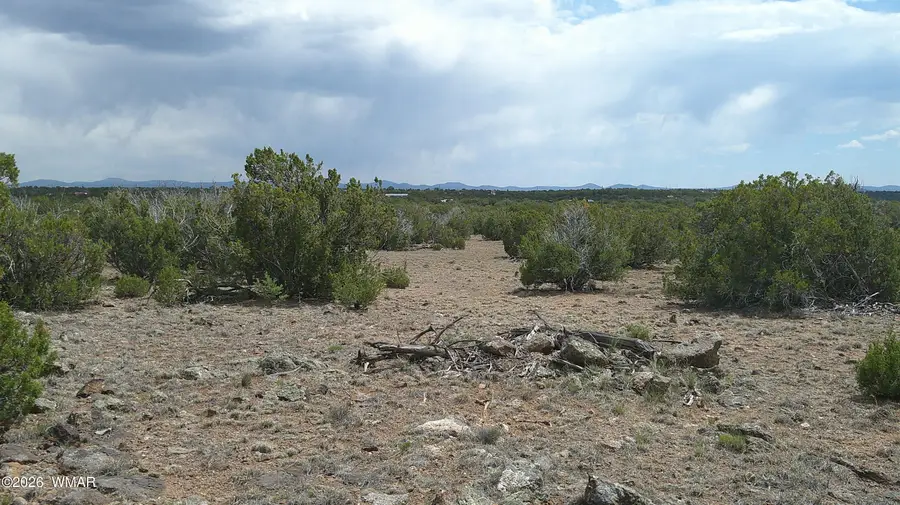 TBD Show Low Pines Lot 189, Concho, AZ 85924 - #2