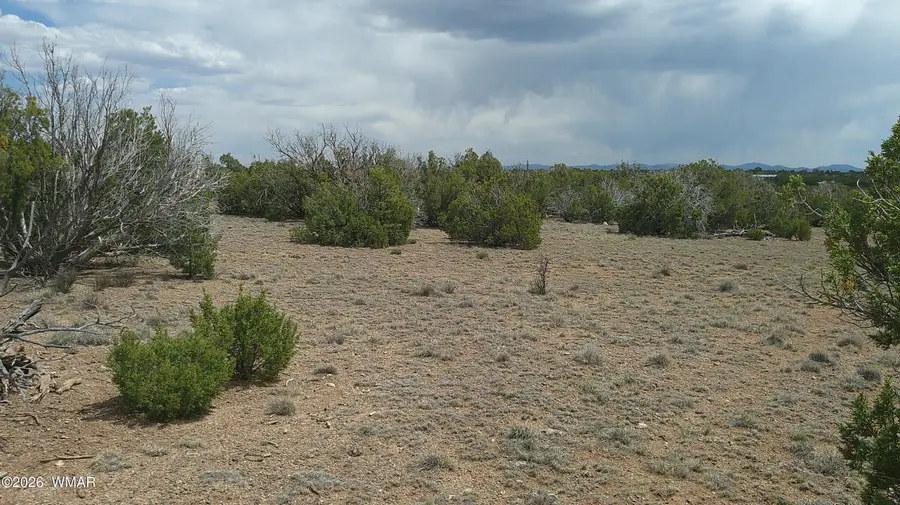TBD Show Low Pines Lot 189, Concho, AZ 85924 - #3