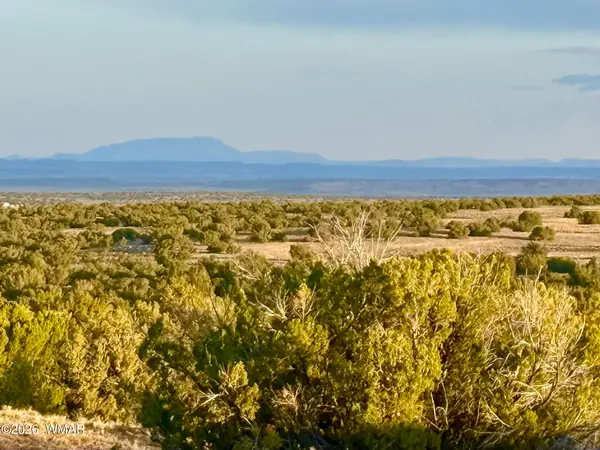 TBD Co Rd N7120 40 Acres, St. Johns, AZ 85936