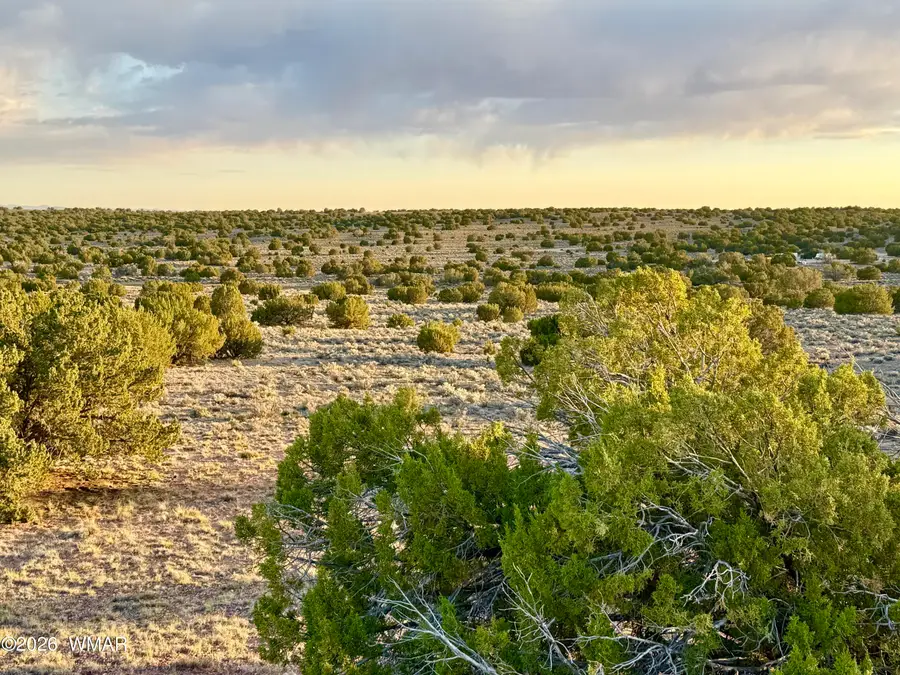 TBD Co Rd N7120 40 Acres, Saint Johns, AZ 85936 - #3