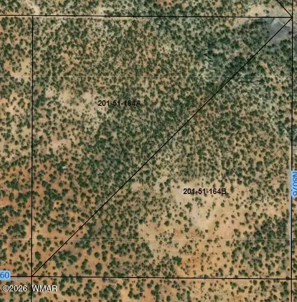 25 N8360, Concho, AZ 85924