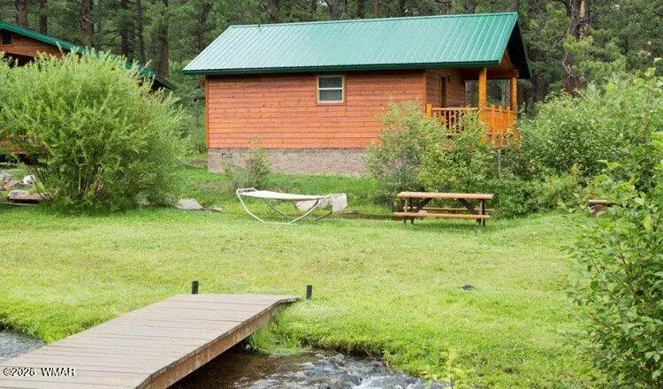 Cabin 97 Rohrer Road, Greer, AZ 85927 - #3