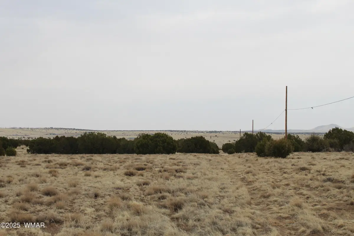 21 County Road, Concho, AZ 85924 - #1