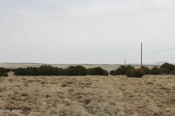 21 County Road, Concho, AZ 85924