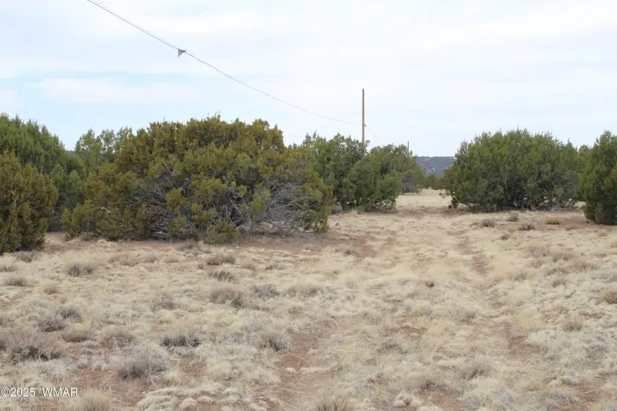 21 County Road, Concho, AZ 85924 - #2