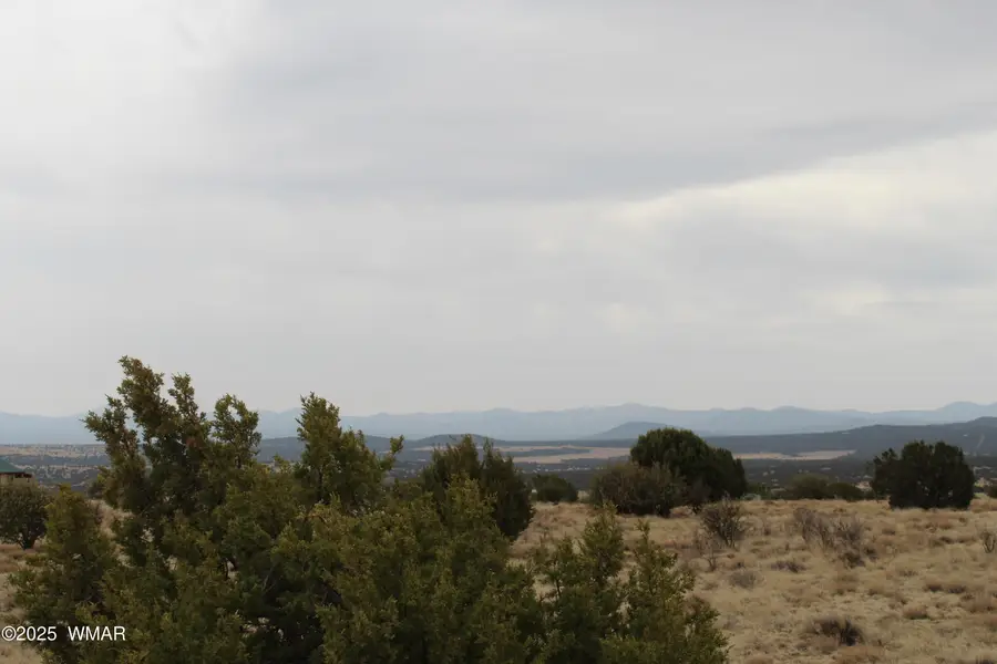 21 County Road, Concho, AZ 85924 - #3