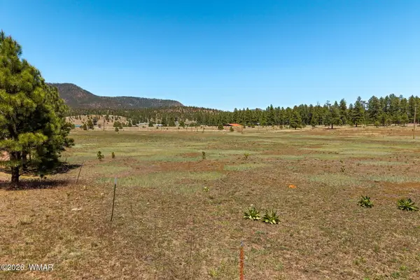 16 County Road 2089, Alpine, AZ 85920