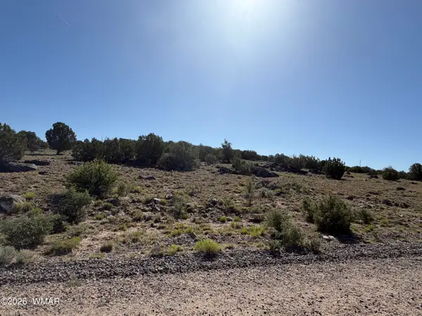 Lot 49 Windsor Valley Ranch Drive, Concho, AZ 85924