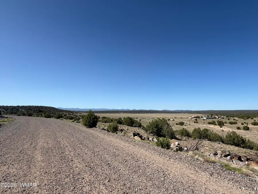 Lot 49 Windsor Valley Ranch Drive, Concho, AZ 85924 - #2