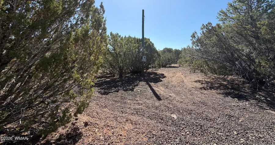 lot 199 Road, Vernon, AZ 85940 - #2