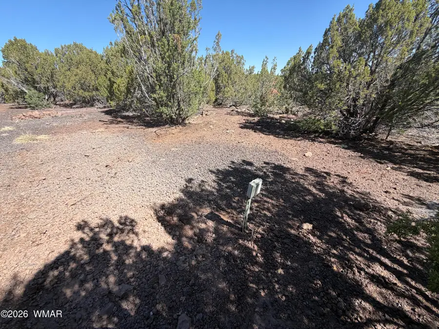 lot 199 Road, Vernon, AZ 85940 - #3