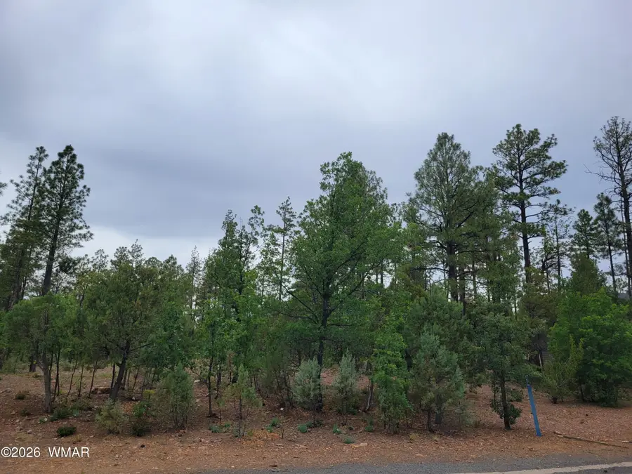 2425 S Timber Pine Lane, Pinetop, AZ 85935 - #3
