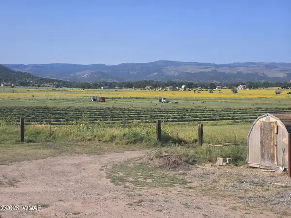 TBD E Fleetwood Avenue, Springerville, AZ 85938