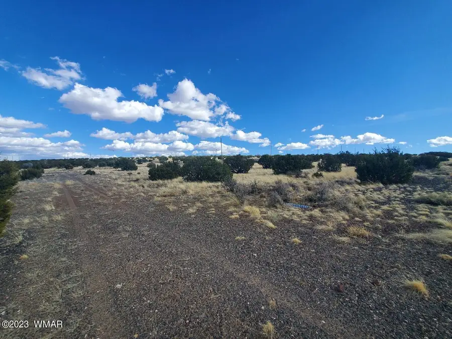 TBD Cr 5166, Concho, AZ 85924 - #3