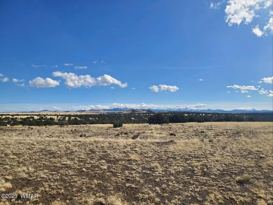 TBD Cr 5143, Concho, AZ 85924 - #3