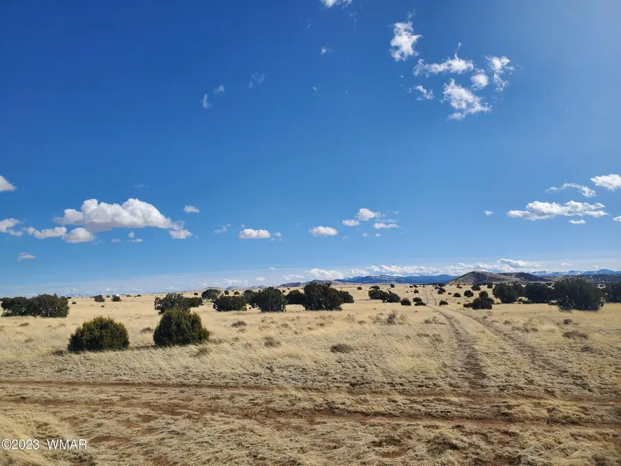 TBD Cr 5111, Concho, AZ 85924 - #3