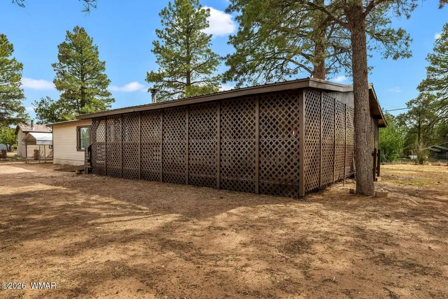 3520 Buckskin Road, Overgaard, AZ 85933 - #3