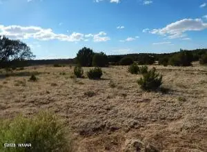 23 Co Rd 8021, Concho, AZ 85924 - #3