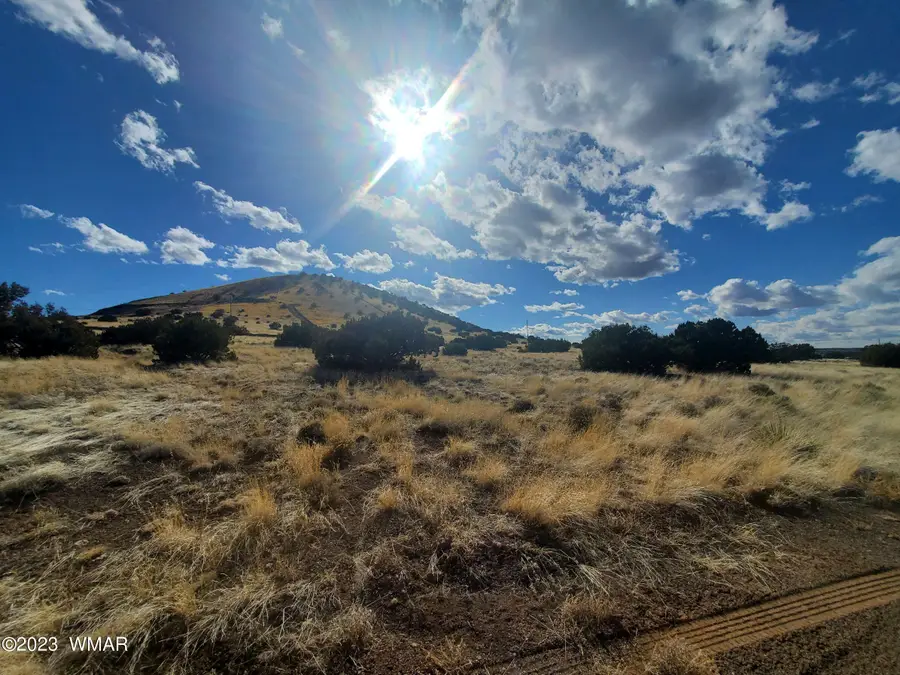 TBD Cr 5105, Concho, AZ 85924 - #3