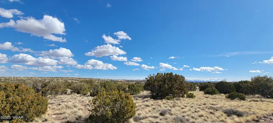 56 County Road, Concho, AZ 85924 - #3