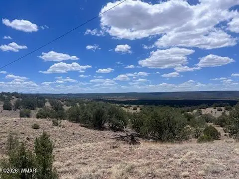 41 Indian Drive (cr 8062), Concho, AZ 85924