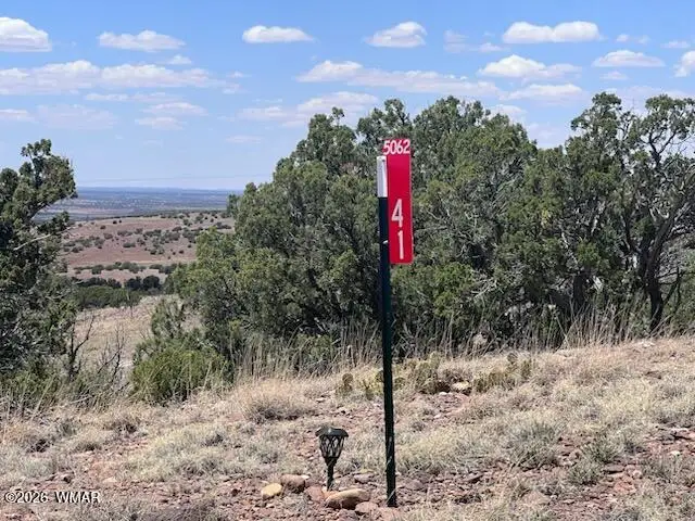 41 Indian Drive (cr 8062), Concho, AZ 85924 - #3