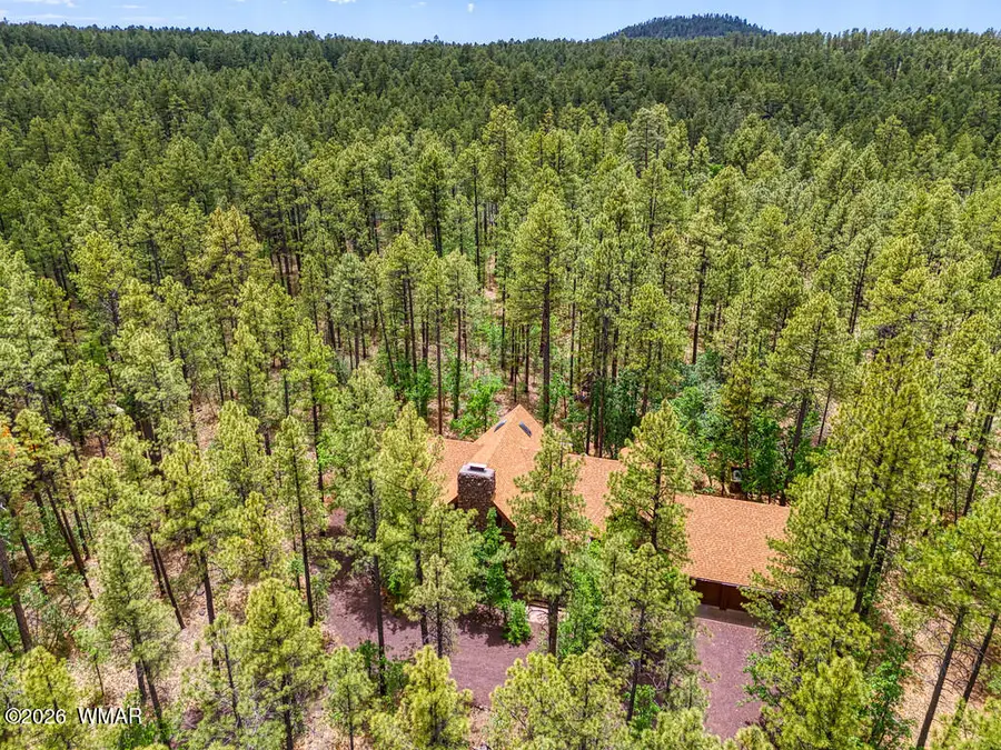2735 Bobcat Gulch, Pinetop, AZ 85935 - #3
