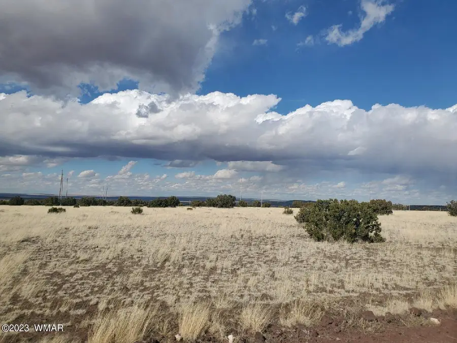 TBD Cr 5076, Concho, AZ 85924 - #3