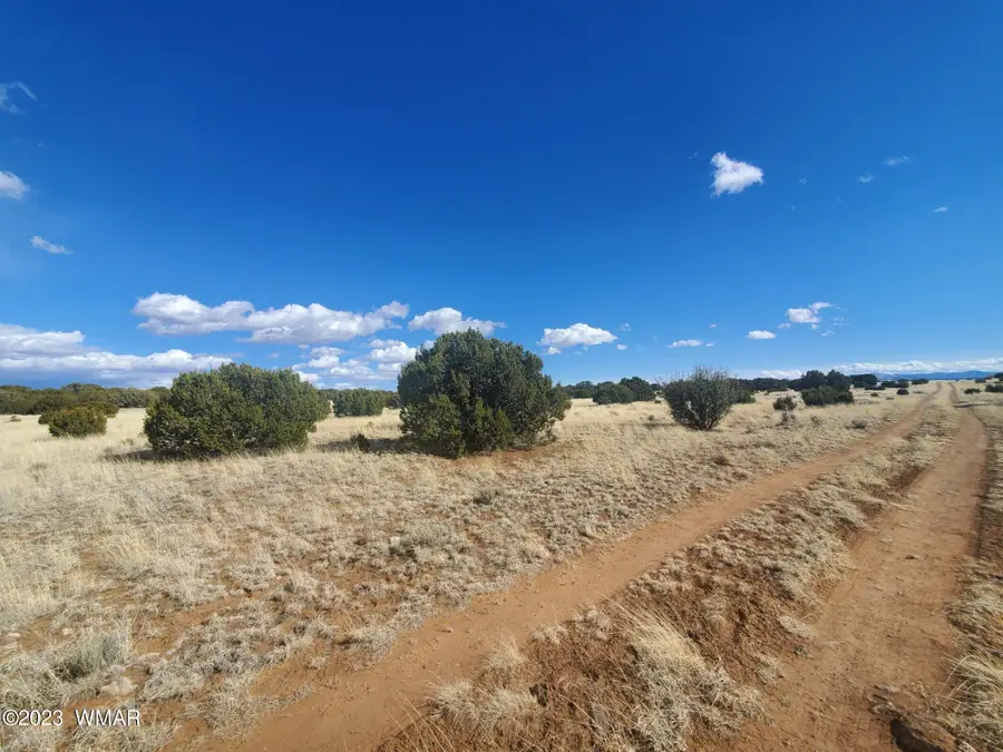 TBD Cr 5101, Concho, AZ 85924 - #3