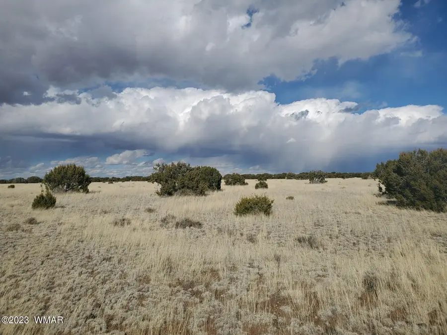TBD Cr 5120, Concho, AZ 85924 - #3
