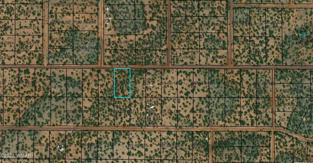 170 Co Road, Vernon, AZ 85940 - #1