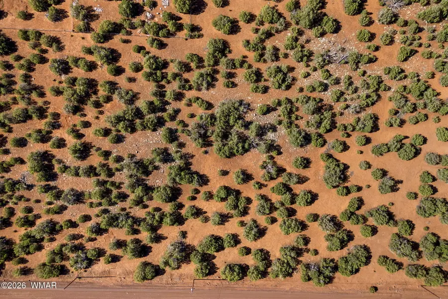 233 Co, Concho, AZ 85924 - #2