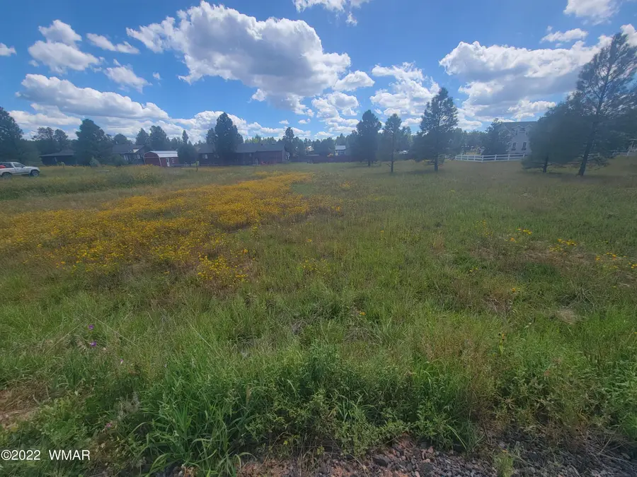 2277 Meadow Lane, Overgaard, AZ 85933 - #2
